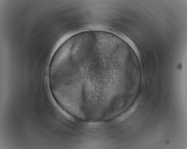 X0000101431389200808041141