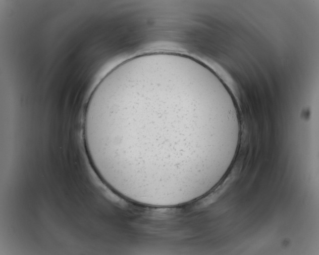 X0000101431390200808041141