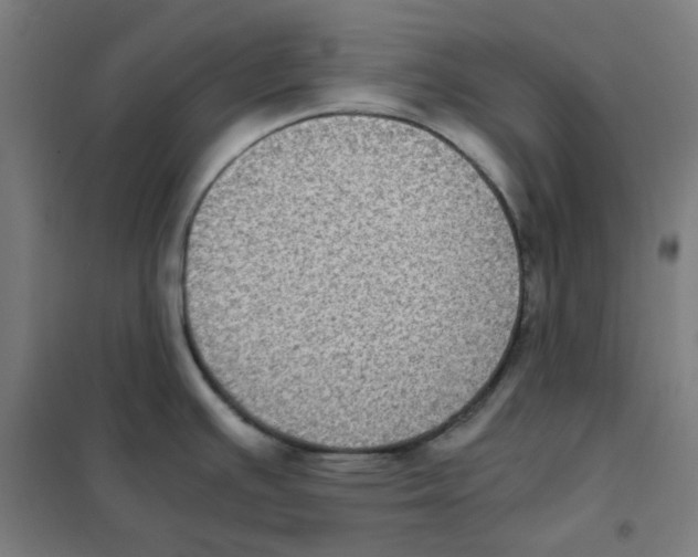 X0000101431391200808041141