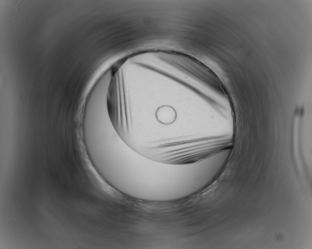 X0000101431392200808041141