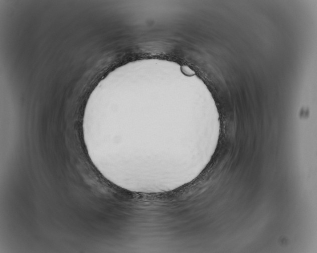 X0000101431393200808041140