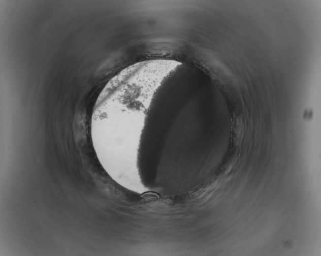 X0000101431394200808041140