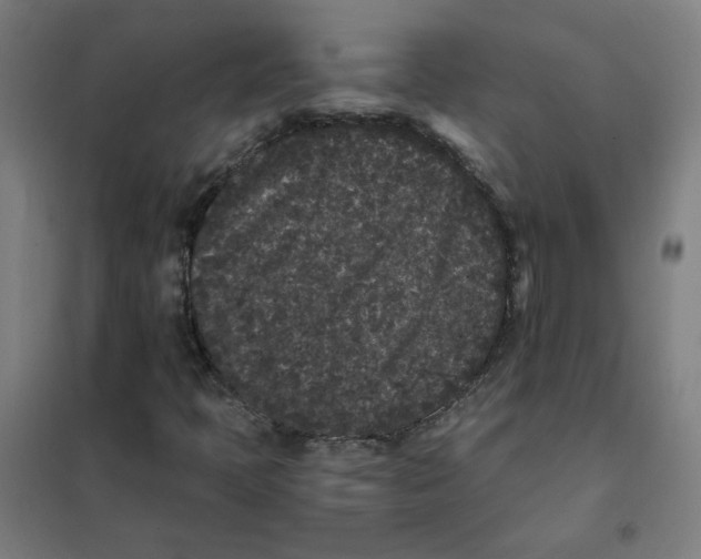 X0000101431397200808041141