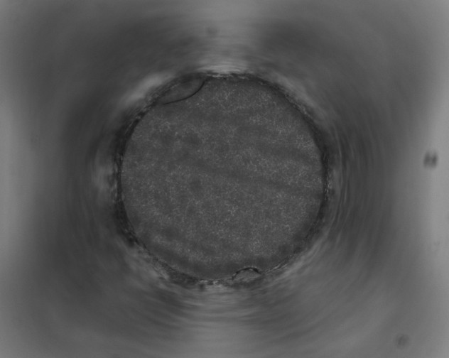 X0000101431398200808041141