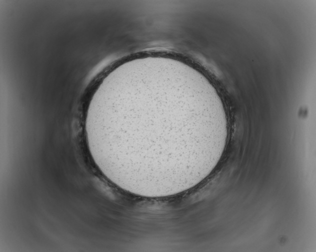 X0000101431400200808041141