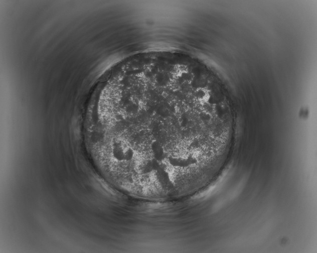 X0000101431401200808041141