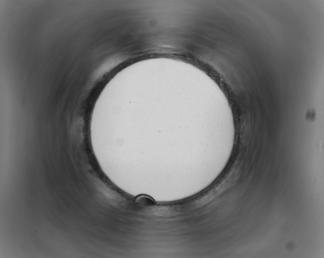 X0000101431402200808041141