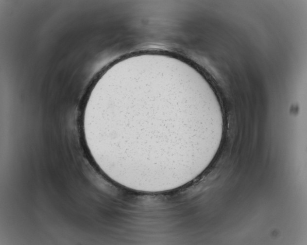 X0000101431404200808041141