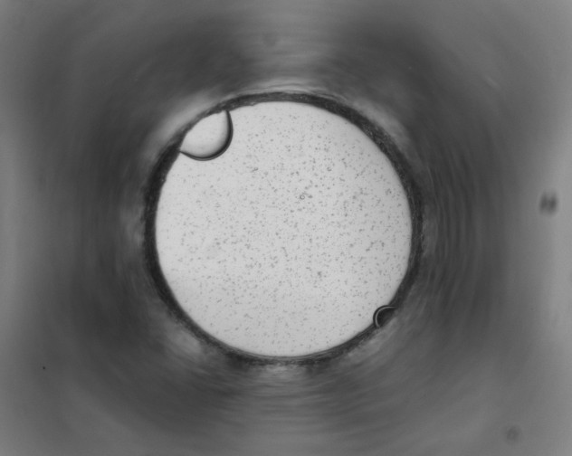 X0000101431406200808041141