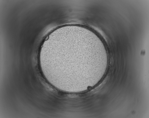 X0000101431407200808041141