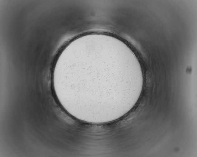 X0000101431408200808041141