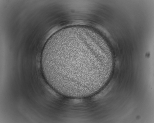 X0000101431409200808041141