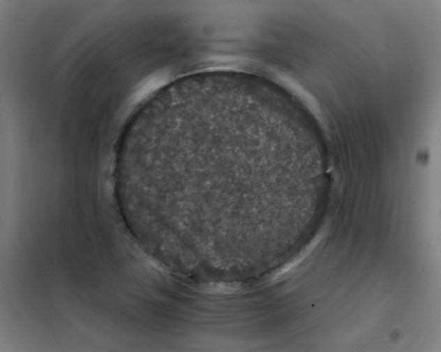 X0000101431411200808041141