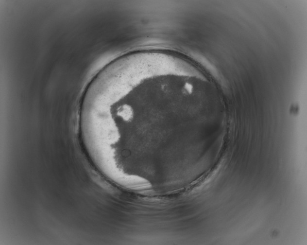 X0000101431413200808041141