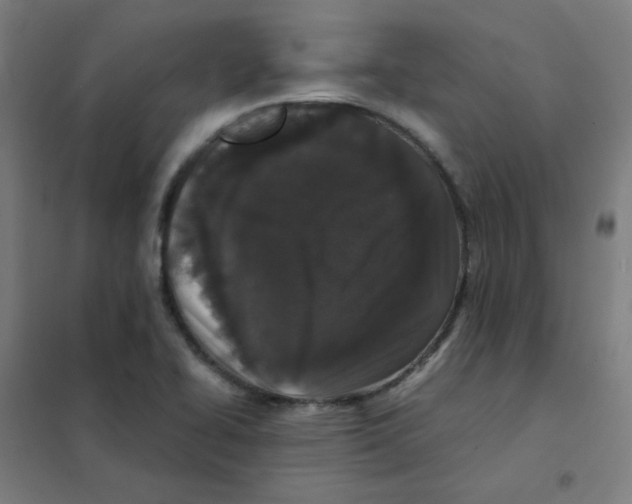 X0000101431414200808041141