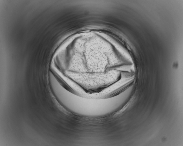 X0000101431417200808041141