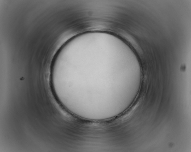 X0000101431418200808041141