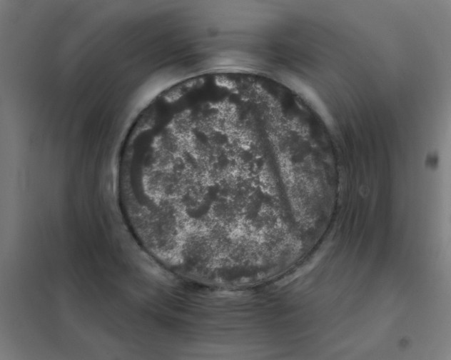 X0000101431419200808041141