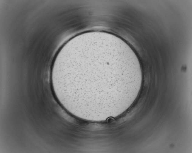 X0000101431420200808041141