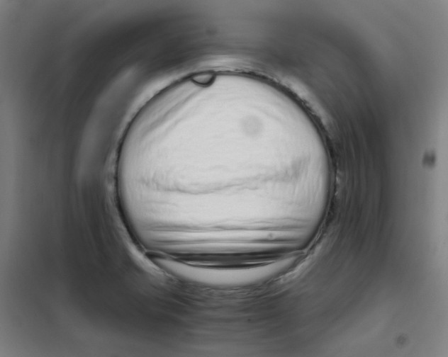 X0000101431421200808041141