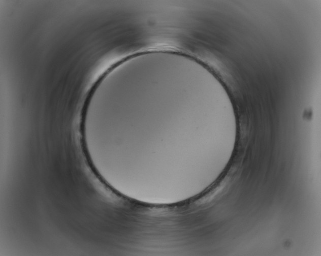 X0000101431422200808041141