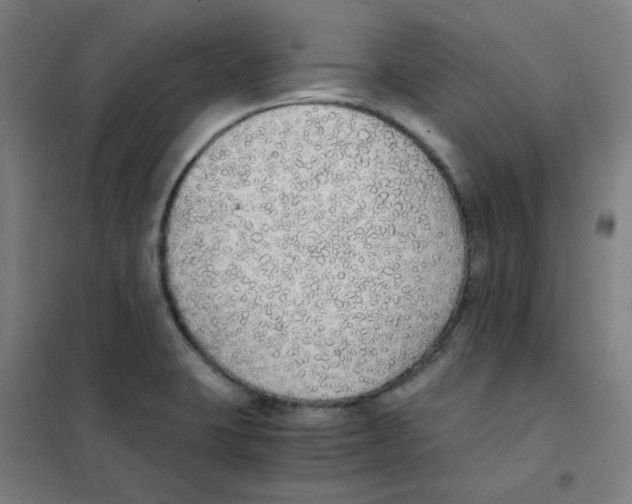 X0000101431423200808041141