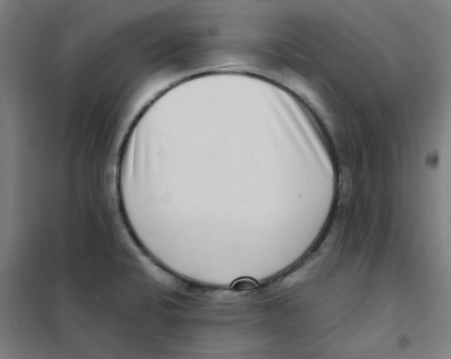 X0000101431424200808041141