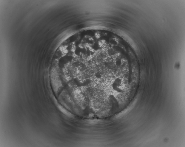 X0000101431425200808041141