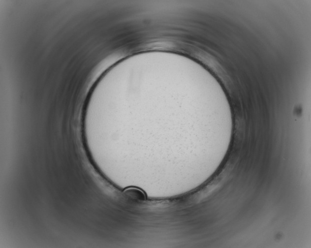 X0000101431426200808041141