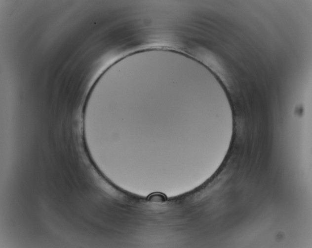 X0000101431428200808041141