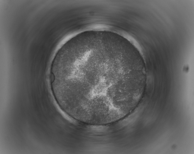 X0000101431429200808041141