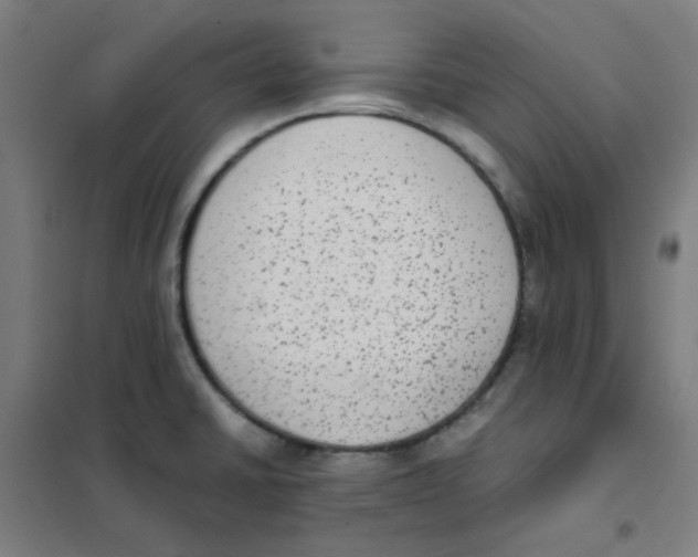 X0000101431430200808041141