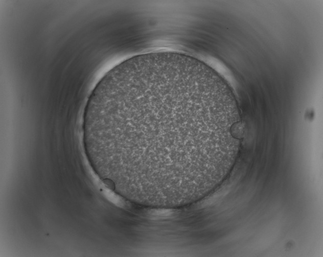 X0000101431431200808041141