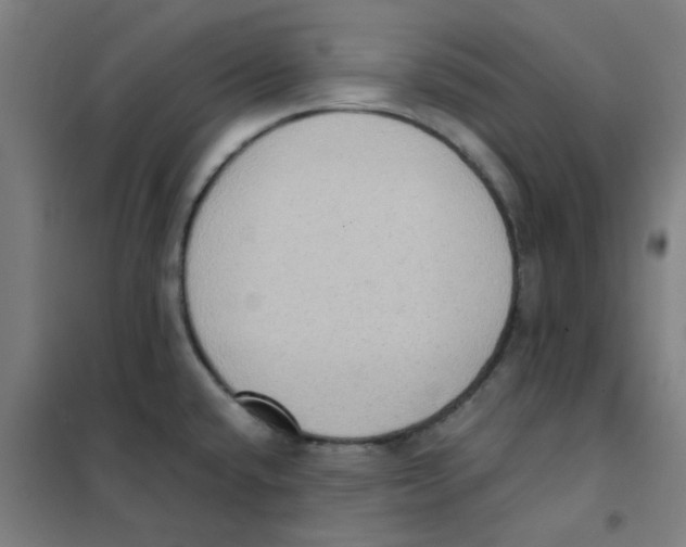 X0000101431432200808041141