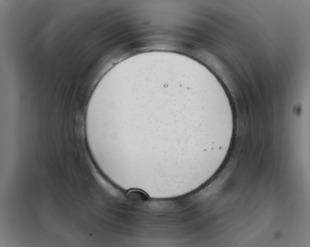 X0000101431433200808041141