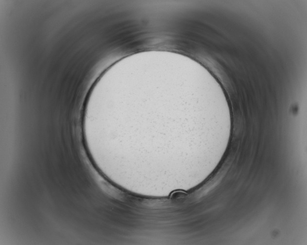 X0000101431434200808041141