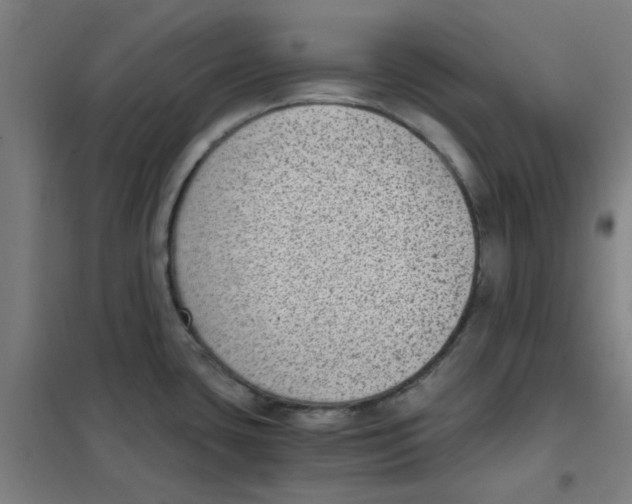 X0000101431435200808041141