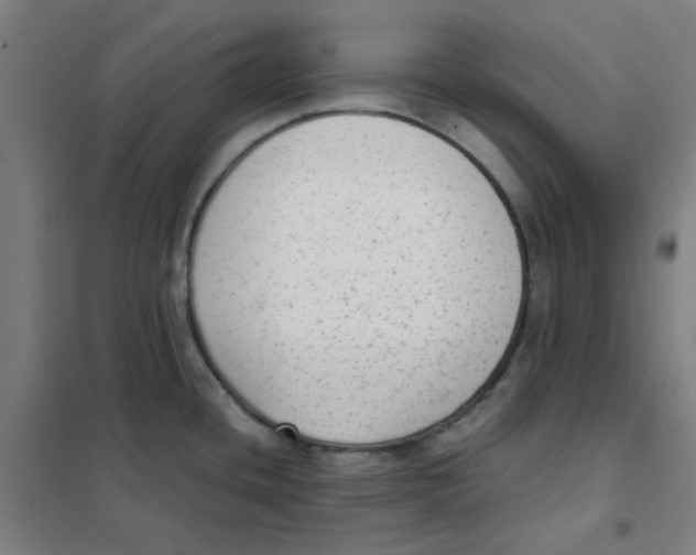 X0000101431436200808041141