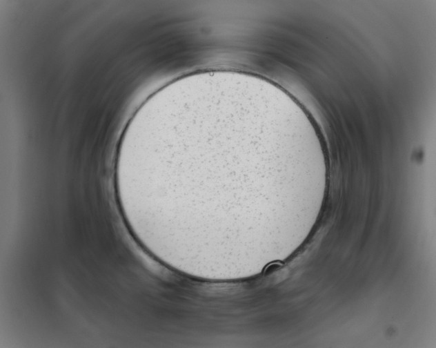 X0000101431437200808041141