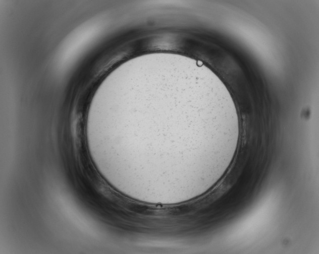 X0000101431438200808041141