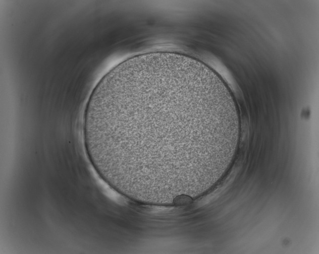 X0000101431439200808041141