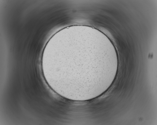 X0000101431440200808041141