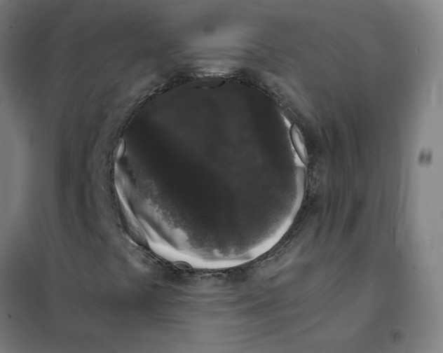 X0000101431441200808041140