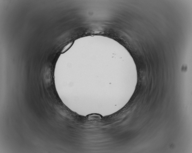 X0000101431442200808041140