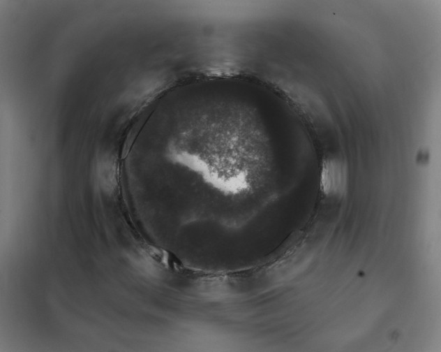 X0000101431444200808041140