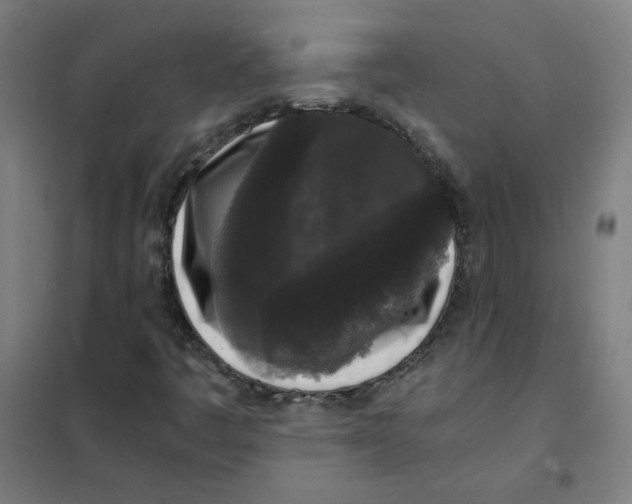 X0000101431445200808041140