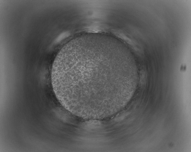 X0000101431446200808041140