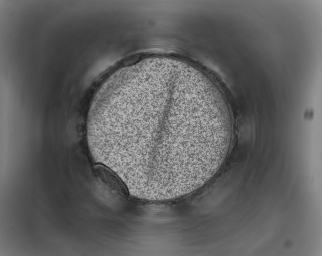 X0000101431448200808041140