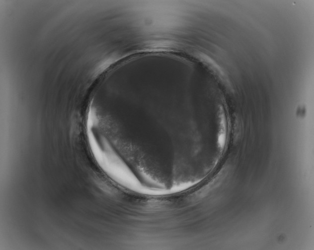 X0000101431449200808041140