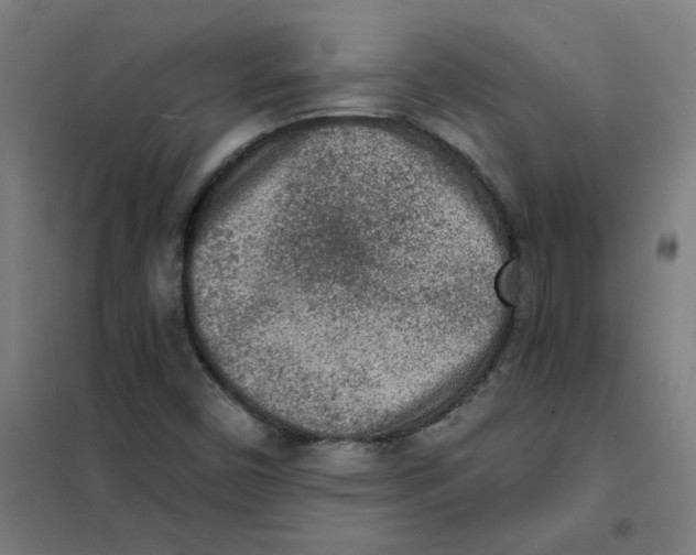 X0000101431450200808041140